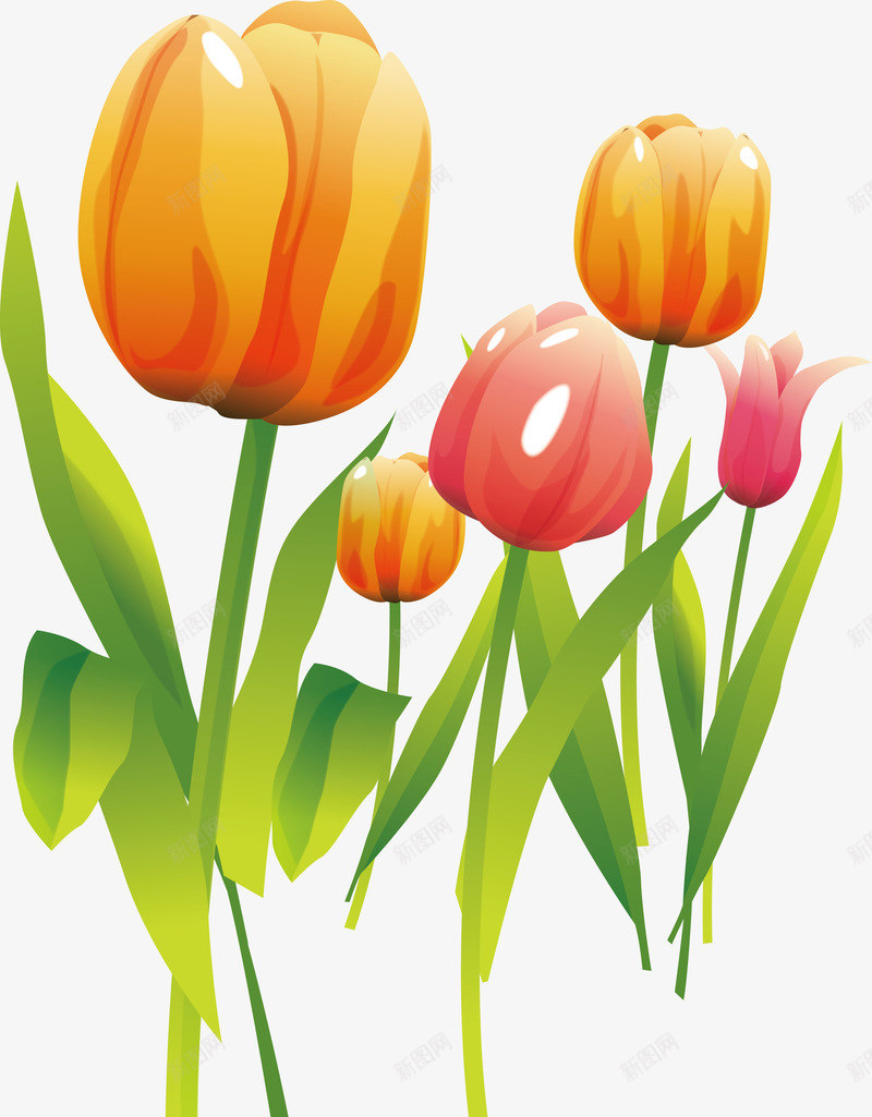 中国风郁金香荷兰风车郁金香矢量图ai免抠素材_88icon https://88icon.com 10枝彩色郁金香 一只郁金香 填色练习 手绘白色郁金香 橘色的花 矢量图 红色郁金香花丛 郁金香花 郁金香草 郁金香草地 郁金香鲜花花束 郁金香黑白 高清郁金香