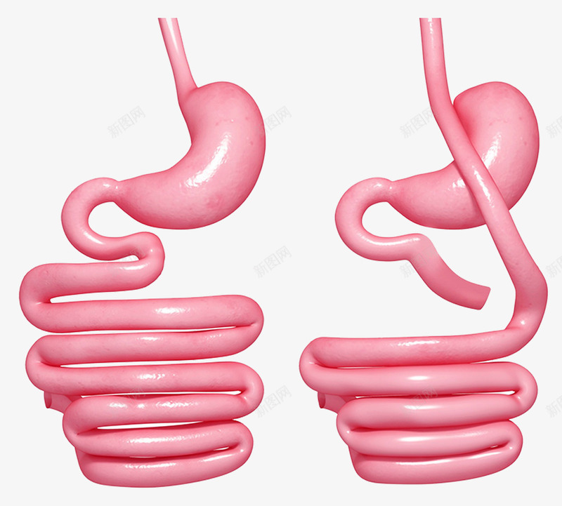 胃部对比医疗插图png免抠素材_88icon https://88icon.com 医疗插图 器官 对比图 小肠 胃肠