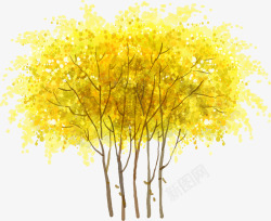 春季黄色大树风景素材