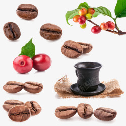 咖啡豆片素材