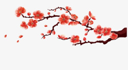冬日枝头的梅花红色鲜艳梅花枝头高清图片