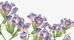 紫色淡雅花装饰素材