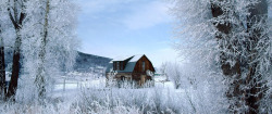 冬天的场景雪花屋子合成素材