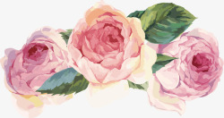 粉绿色花卉装饰水墨水彩植物牡丹花装饰矢量图高清图片