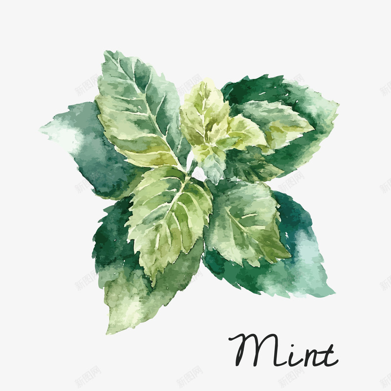 mint水墨花朵矢量图eps免抠素材_88icon https://88icon.com mint 中国风 传承 传承与创新 传承与创新的海报 文化接力 水墨画 漂亮 矢量图 花朵