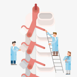 白色骨骼嵴柱手绘医生脊柱检查骨髓高清图片