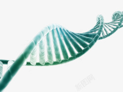 DNA双螺旋结构图片旋转的DNA高清图片