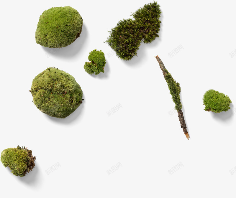 青苔装饰案psd免抠素材_88icon https://88icon.com 木头 植物 毛绒绒 纹理 纹路 线条 线路 装饰 质感 锯齿 青苔