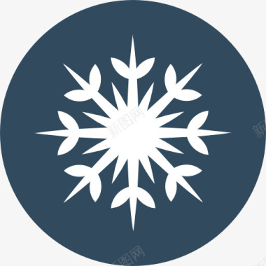 冰晶雪花素材图片图片Snowflake图标图标