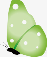 绿色蝴蝶主题淘宝海报素材
