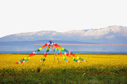 青海湖旅游著名青海湖景点高清图片