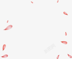 粉色唯美漂浮花瓣节日鲜花素材