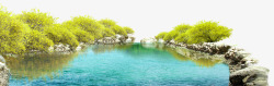 湖边的大树湖边美景高清图片