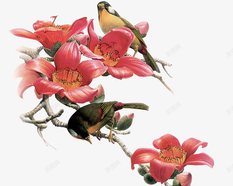 杜鹃花png免抠素材_88icon https://88icon.com 杜鹃花 树枝 花卉 鸟儿