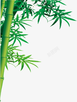 绿色清新竹叶竹林风景素材