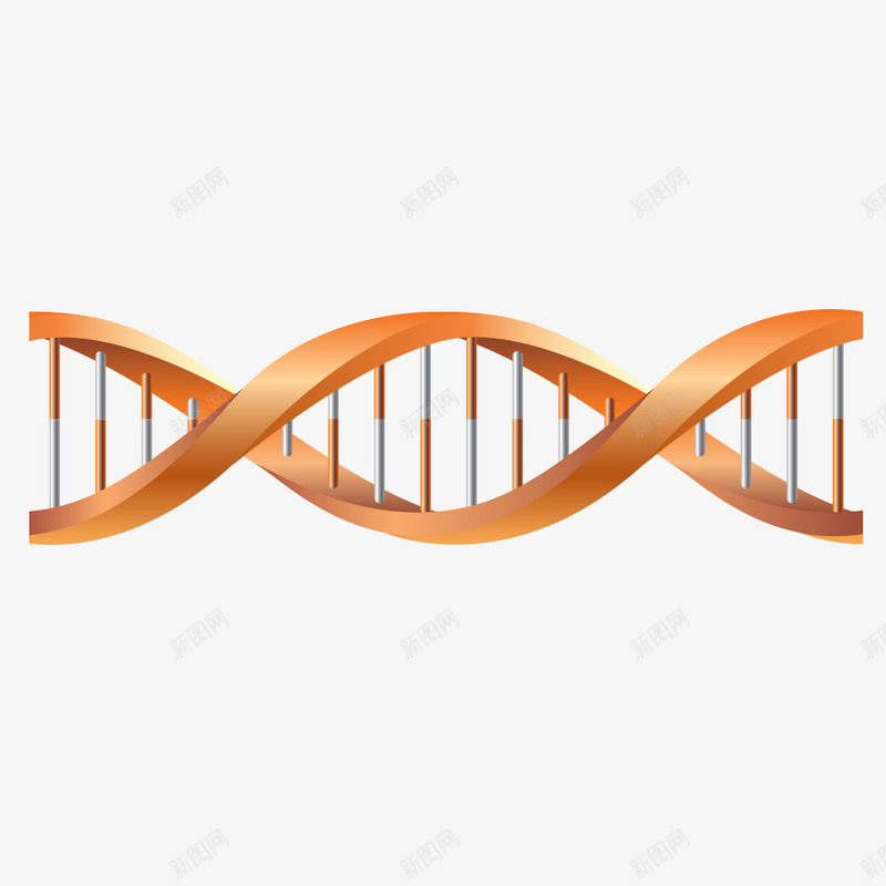 金黄色基因链矢量图eps免抠素材_88icon https://88icon.com 基因检测 基因链 生物科学 矢量素材 金黄色 矢量图