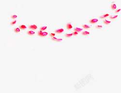 飘舞粉色玫瑰花瓣素材