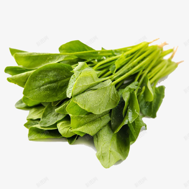一捆菠菜png免抠素材_88icon https://88icon.com 产品实物 健康 营养 补铁 青菜