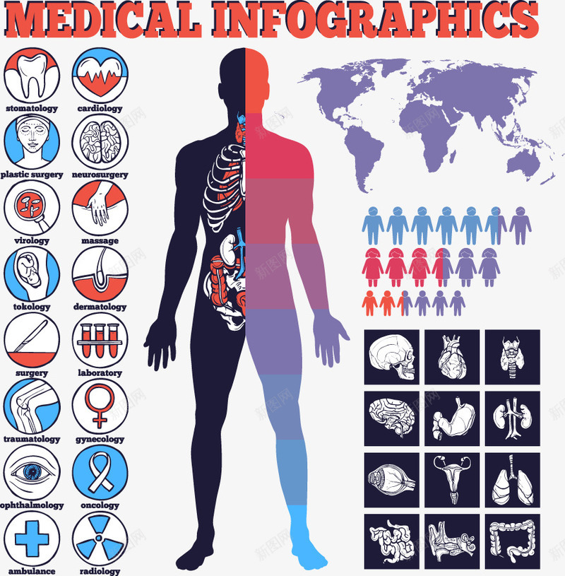 人体器官技能数据分析图表png免抠素材_88icon https://88icon.com 人体器官检查 医疗 图表 数据分析 装饰