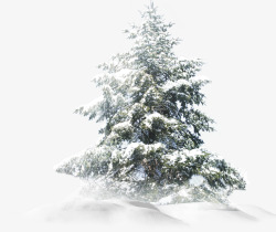 摄影冬天的雪景森林素材