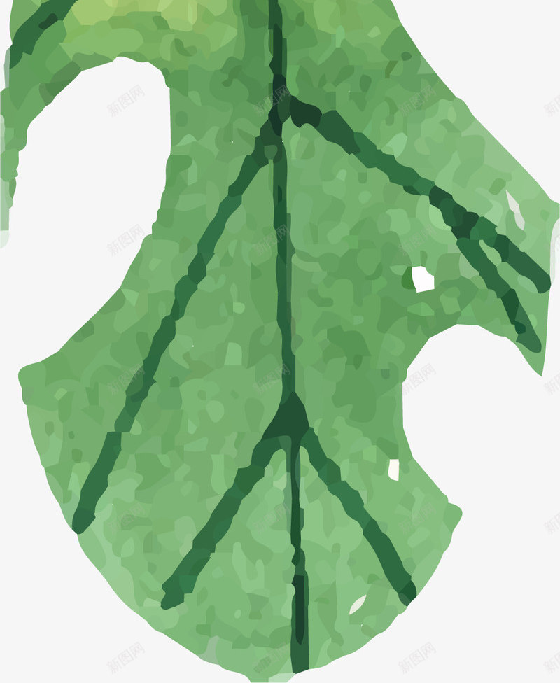 卡通水彩绿叶装饰画png免抠素材_88icon https://88icon.com 北欧风格 无框画 植物花卉 水彩叶子 绿叶 装饰画