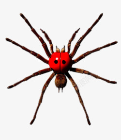 超大个红蜘蛛素材