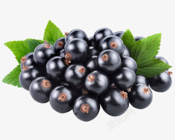 亮黑色黑紫色发亮的熊果苷蓝莓高清图片