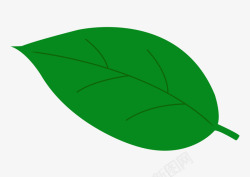 树叶绿色植物图素材