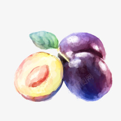 紫色的李子水果矢量图素材