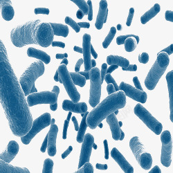 蓝色的细菌细菌高清图片