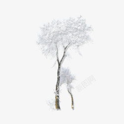 雪覆盖树枝场景冬天大雪覆盖的树场景高清图片