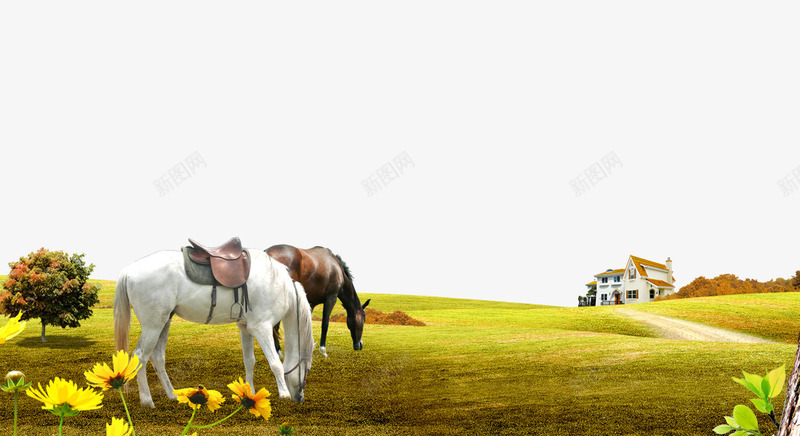 黄昏草地马匹背景png免抠素材_88icon https://88icon.com 别墅 草地 马匹 黄昏