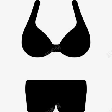 女性生殖内衣服装图标图标