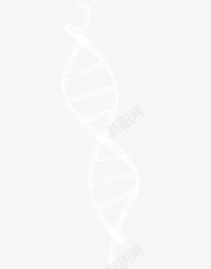 白色dna基因图案png免抠素材_88icon https://88icon.com dna 图案 基因 白色