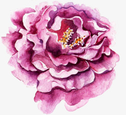 手绘水彩玫瑰花装饰元素素材