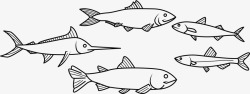 海洋鱼群矢量图素材