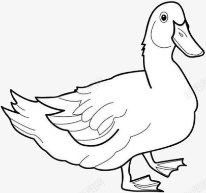 鸭子PNG卡通手绘简笔画鸭子图标图标