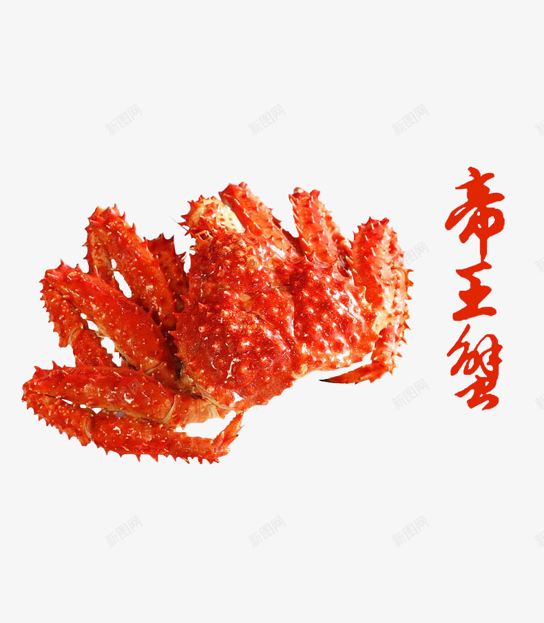 帝王蟹png免抠素材_88icon https://88icon.com 产品实物 帝王蟹 海货 海鲜 生鲜 螃蟹