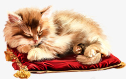 躺着睡觉的可爱猫咪素材