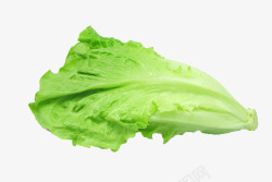 生菜菜叶新鲜蔬菜高清图片