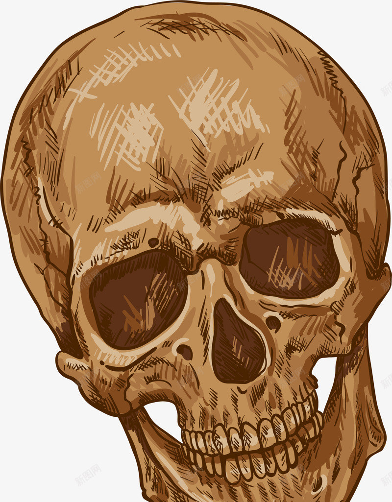 咖啡色复古骷髅头png免抠素材_88icon https://88icon.com 人骨 咖啡色骷髅头 头骨 装饰图案 骨头 骨骼