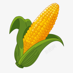 玉米背景卡通玉米高清图片