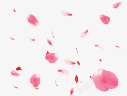 飞舞粉色红色花瓣素材