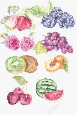 手绘水彩水果插画素材