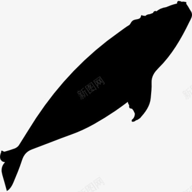 海洋露脊鲸的剪影图标图标