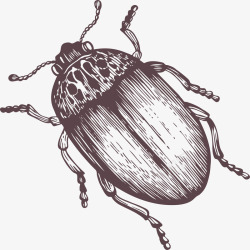 创意手绘昆虫蟑螂素材
