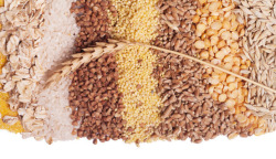 荞麦米麦穗燕麦玉米杂粮谷物堆高清图片