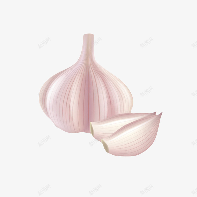 白色健康佐料大蒜头和蒜头粒手绘png免抠素材_88icon https://88icon.com 佐料 免扣 免费下载 有机 生态 生物世界 白蒜头 调料