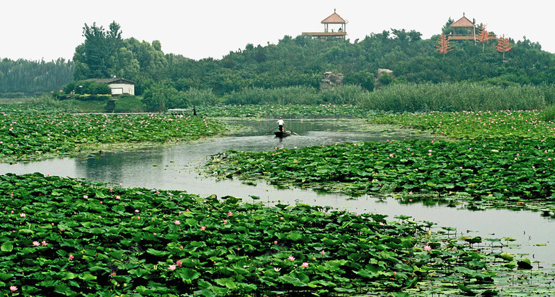 河北景区白洋淀png免抠素材_88icon https://88icon.com 旅游景区 河北景区 河北白洋淀 白洋淀 著名景点