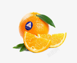 香橙汁澳洲香橙高清图片